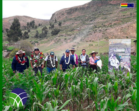 <span id='sec'>En el municipio de Tapacari:</span><br><span id='prim'>GOBIERNO INVIERTE MÁS DE UN MILLÓN DE BOLIVIANOS EN SISTEMA DE RIEGO EN LA COMUNIDAD INCUYO</span>