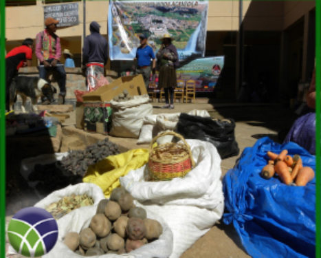 <span id='sec'>En Sacaca - Potosí:</span><br><span id='prim'>FONADIN promueve “Feria municipal de productos agrícolas y pecuarios”</span>