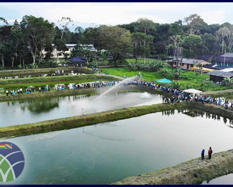 <span id='sec'>En el Trópico de Cochabamba:</span><br><span id='prim'>Congreso en el Trópico de Cochabamba fortalece la producción piscícola de la zona</span>