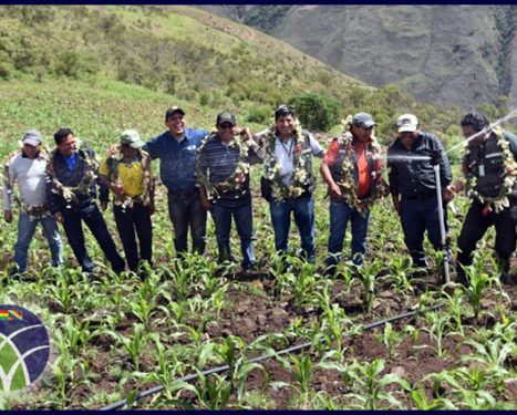 <span id='sec'>En Cochabamba-Muyurina Pucara:</span><br><span id='prim'>Entrega de sistema de riego en “Morochata” incentiva la producción de papa</span>