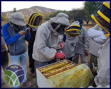 <span id='sec'>Cochabamba:</span><br><span id='prim'>Gobierno brinda asesoramiento técnico a productores de miel</span>