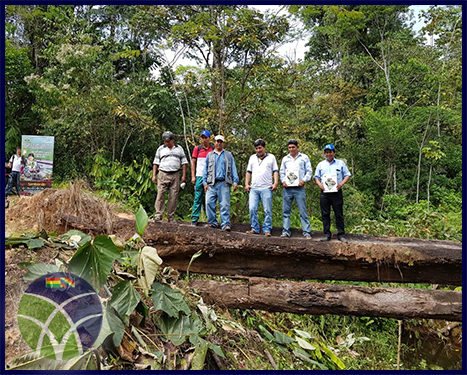 <span id='sec'>Puerto Villarroel - Cochabamba:</span><br><span id='prim'>Se inicia construcción de puente que beneficia a municipio de Puerto Villarroel</span>