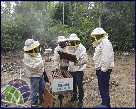 <span id='sec'>Trópico - Cochabamba:</span><br><span id='prim'>Comisión de la Unión Europea visita proyectos implementados en la zona del Trópico de Cochabamba</span>