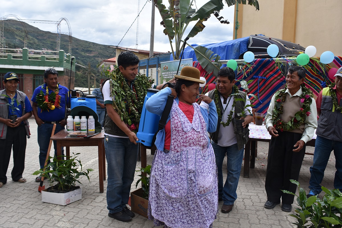 FONADIN reactiva la producción de café, en el Municipio de Coripata – La Paz