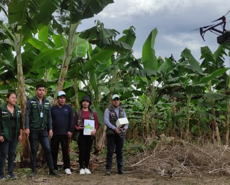 FONADIN IMPLEMENTA TECNOLOGÍA DE PUNTA, PARA FORTALECER EL TRABAJO EN LOS PROGRAMAS DE BANANO Y PLÁTANO