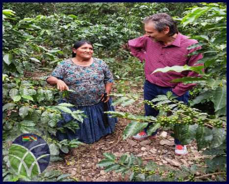 <span id='sec'>Yungas - La Paz:</span><br><span id='prim'>Gobierno y la Unión Europea inspeccionan proyectos ejecutados por el FONADIN</span>