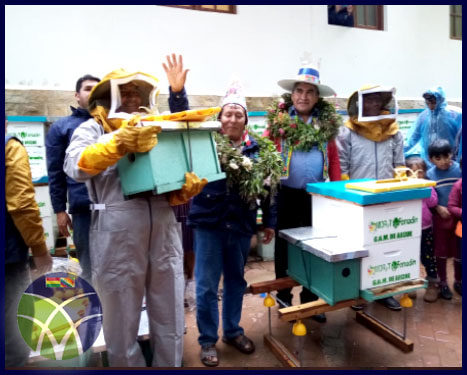 <span id='sec'>Arque - Cochabamba:</span><br><span id='prim'>Familias del municipio de Arque se benefician con módulos apícolas</span>