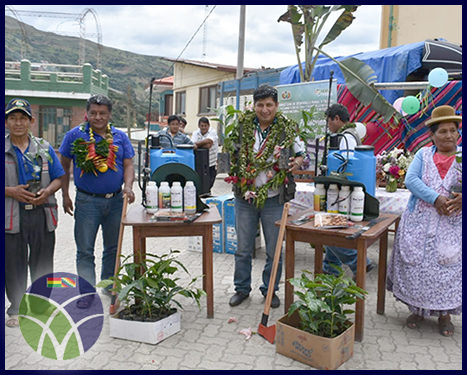 <span id='sec'>Coripata - La Paz:</span><br><span id='prim'>Gobierno reactiva producción de café en el municipio de Coripata</span>