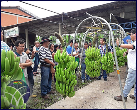 <span id='sec'>En Cochabamba - La Paz:</span><br><span id='prim'>Una representación del Perú visita proyectos implementados por el FONADIN</span>